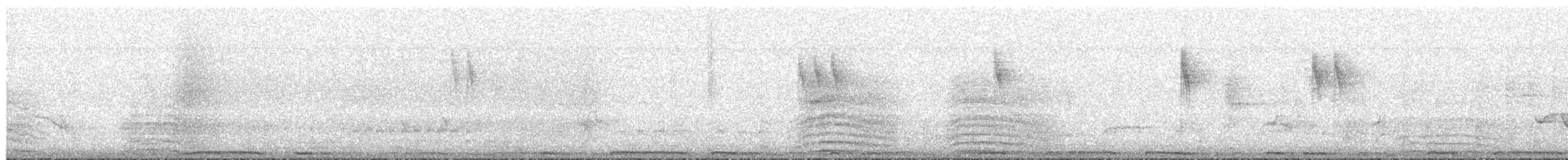 נחליאלי זנבתן - ML649166728