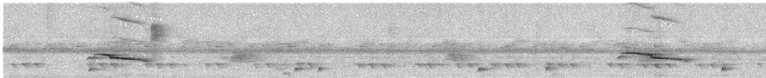 Spot-backed Antshrike - ML649167397