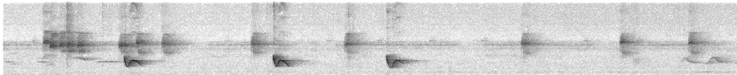 Swallow-tailed Manakin - ML649167449