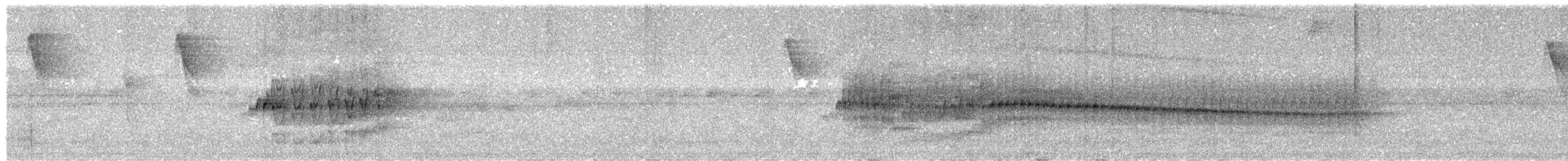 Rufous-breasted Leaftosser - ML649167462