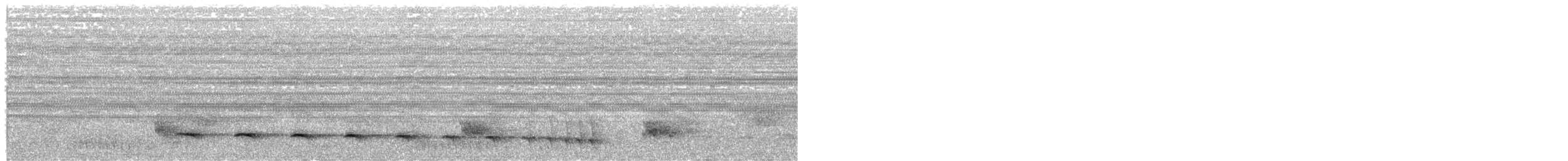 Plain Antvireo - ML649167495