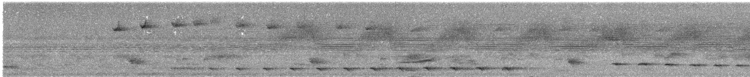 Plain Antvireo - ML649167496