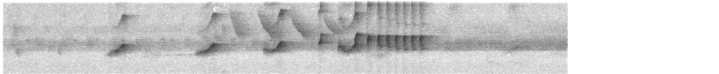 Yellow-olive Flatbill - ML649167598