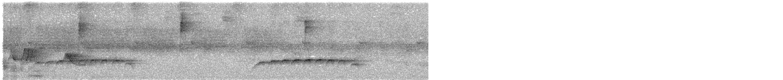 Sibilant Sirystes - ML649167604