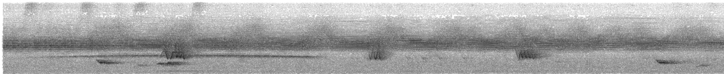 Chivi Vireo - ML649167621