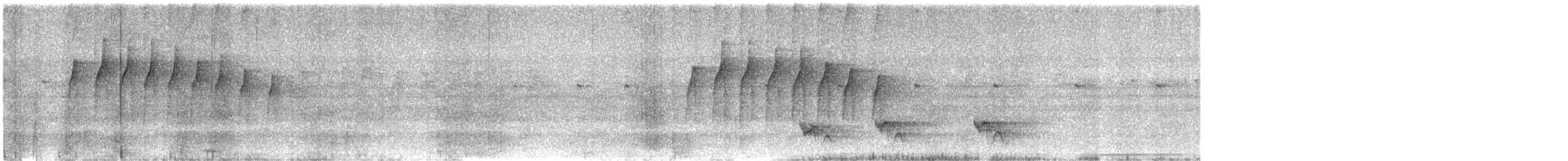 Streaked Xenops - ML649167726