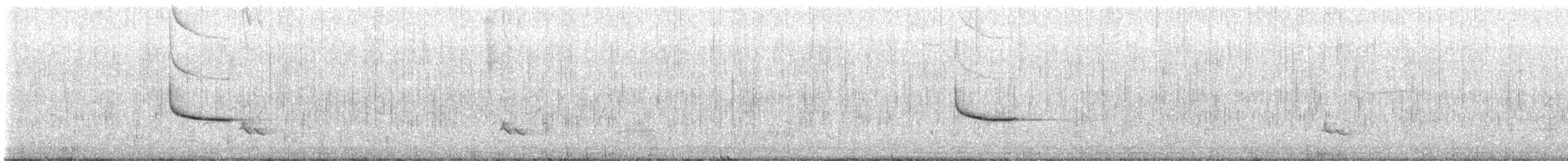 שחרורית אדומת-כנף - ML649167741