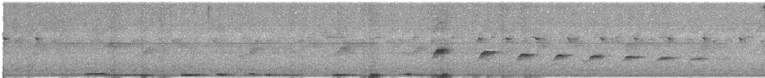 Pale-vented Pigeon - ML649167806