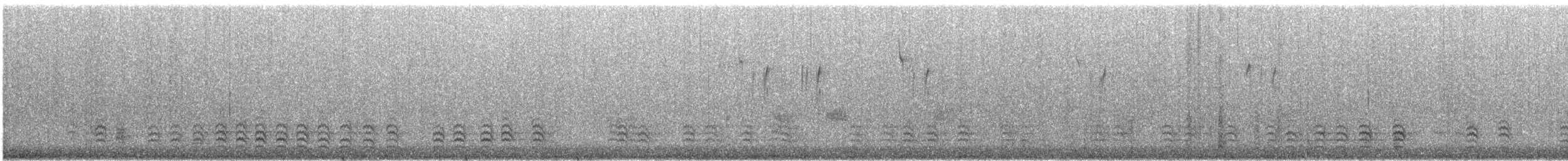 Weißbrustkleiber - ML649169365