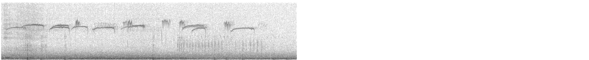 brkoslav americký - ML649169371