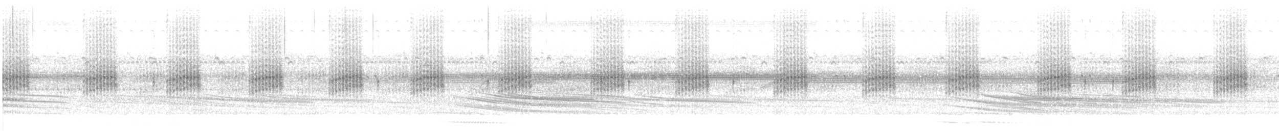 Striped Snouted Tree Frog - ML649171919