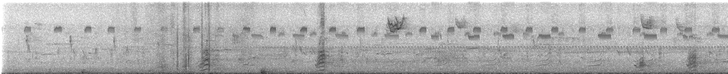 שרשיר - ML649178085