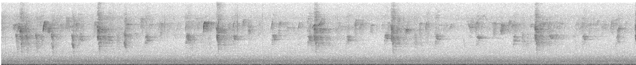 Northern Mockingbird - ML649181387