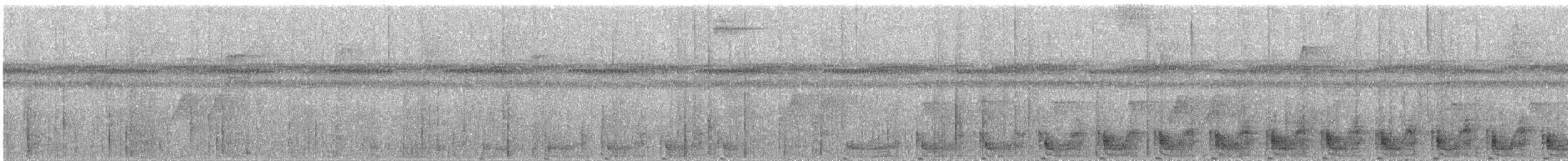 Grauflügel-Trompetervogel - ML649182977