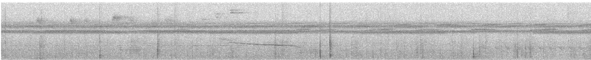 Grauflügel-Trompetervogel - ML649182980