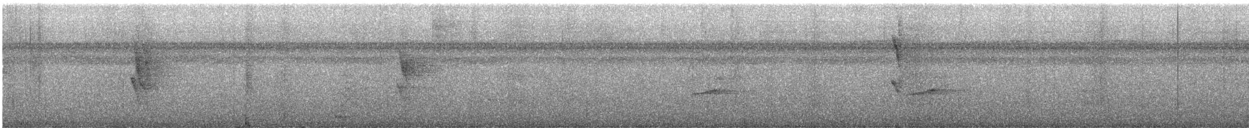 Tropical Gnatcatcher - ML649183061