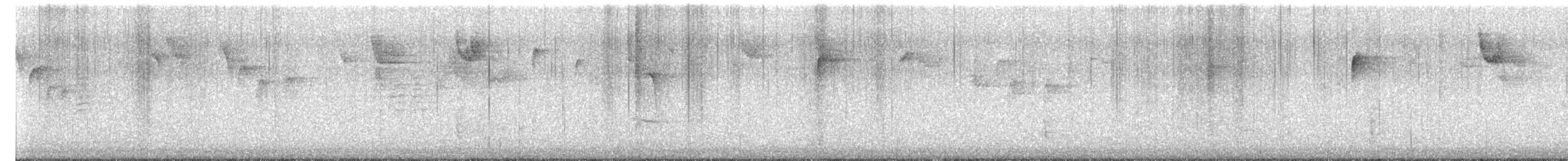 Каролинская гаичка - ML649183211