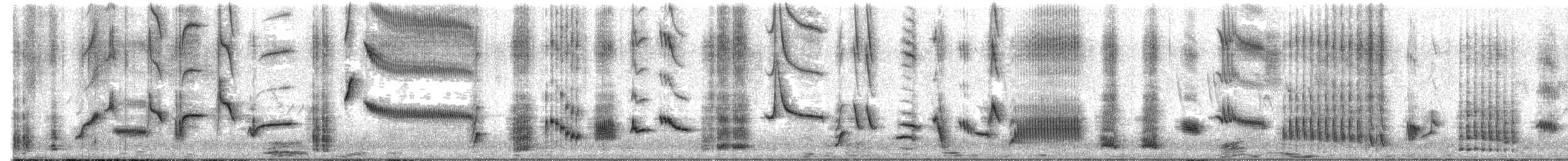 Sentinel Rock-Thrush - ML649189613