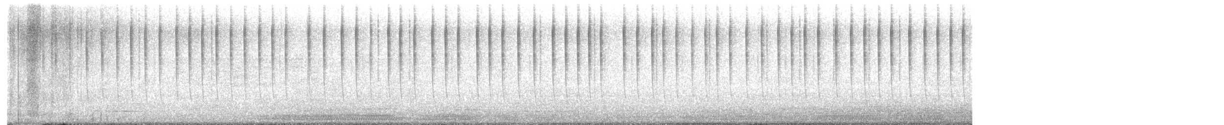 Allen's Hummingbird - ML649189672