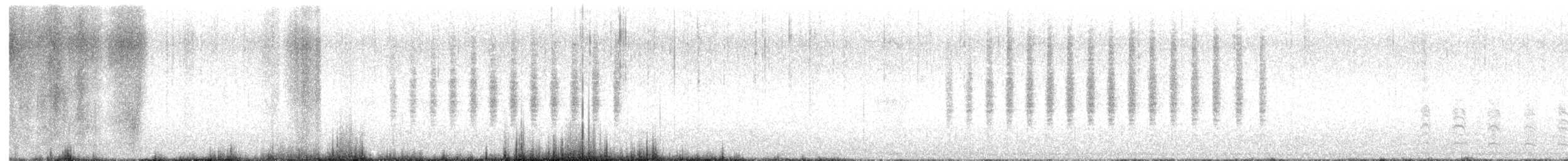 Black-tailed Gnatcatcher - ML649189750