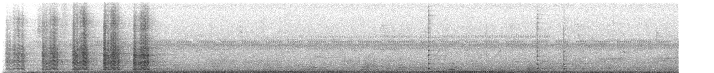 American Coot - ML649190318