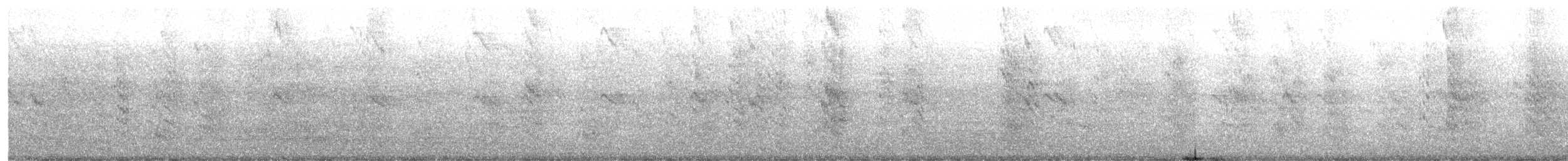 Charrán Maorí - ML649190993