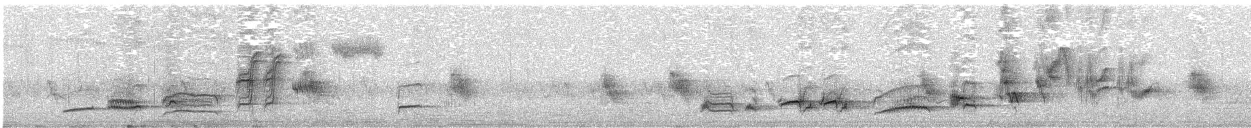 Eurasian Blackbird - ML649191018