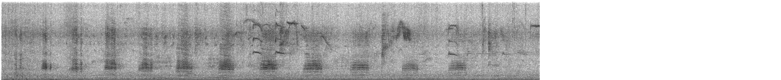 綠頭鴨 - ML649191313