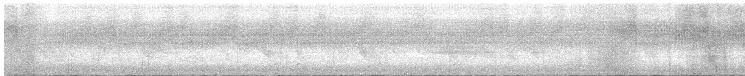 Zorzal Común - ML649191444