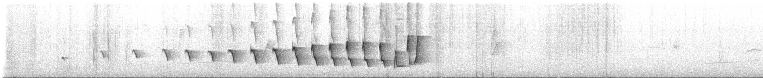 Noisy Scrub-bird - ML649191986