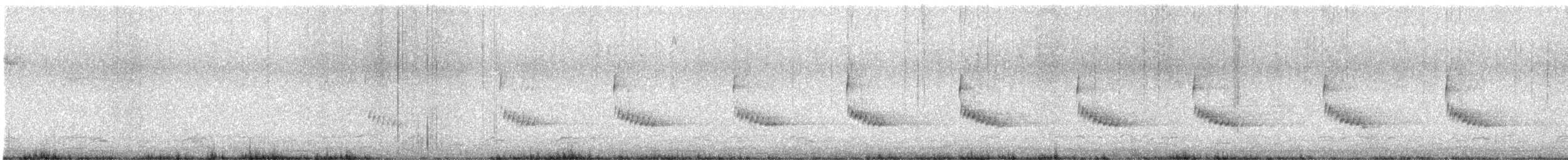 チャバラマユミソサザイ - ML649192318