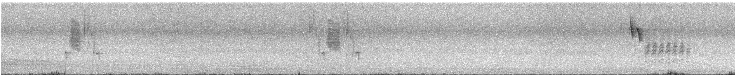 Каролинская гаичка - ML649192477