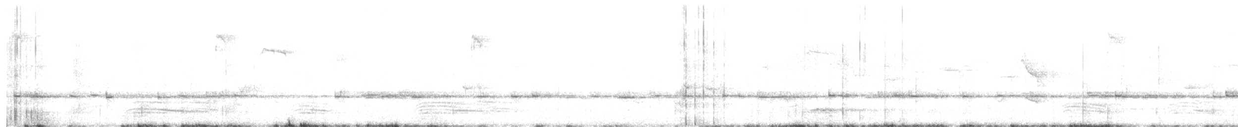 Corbeau d'Australie - ML649192940