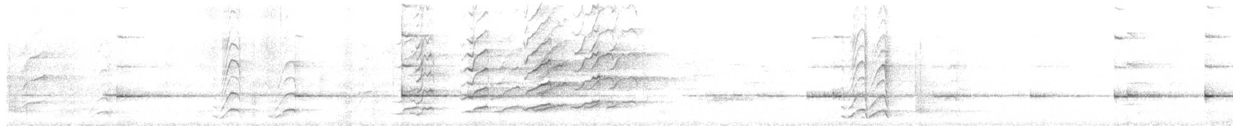 Méliphage à sourcils noirs - ML649192951