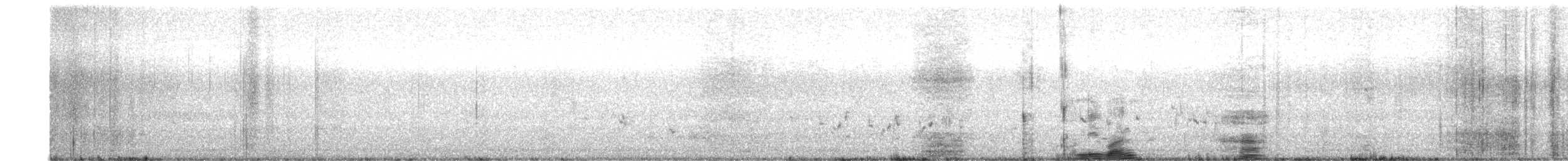 Oenanthe, unbestimmt - ML649198079