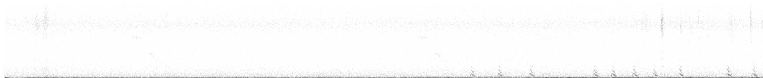 Faisán Mikado - ML649198378