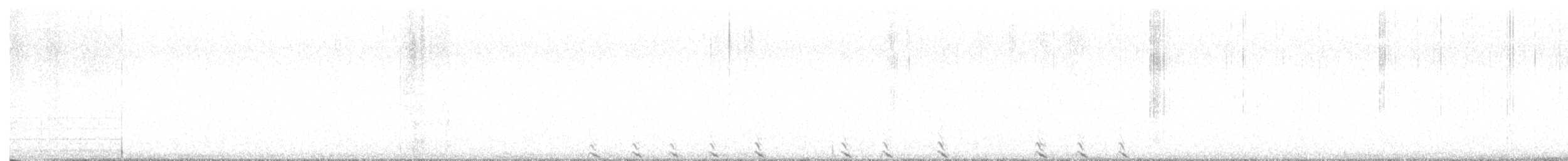 Faisán Mikado - ML649198492