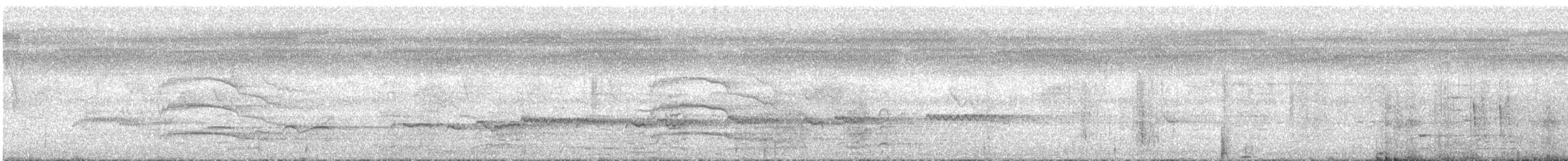 Cuco Varioloso - ML649198512