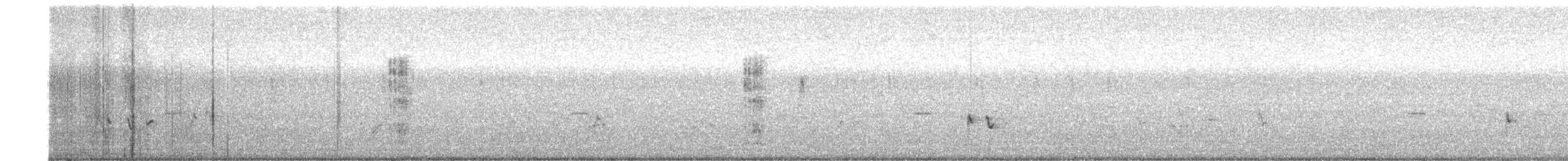 Collalba/Colinegro (Oenanthe) sp. - ML649198574