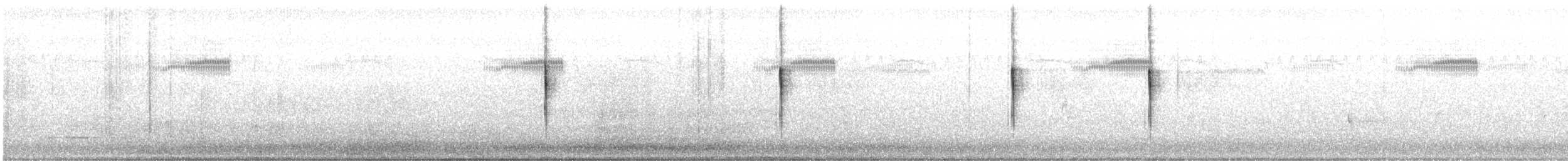 Yerbera Maorí - ML649198743