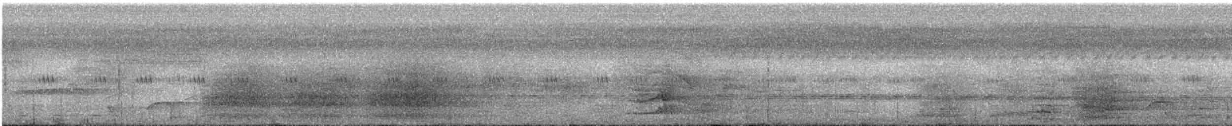 Cacatúa Galerita - ML649198784