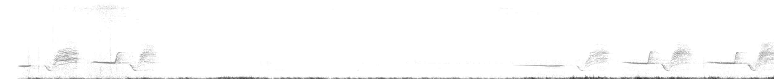 Silbador de Gilbert - ML649198826