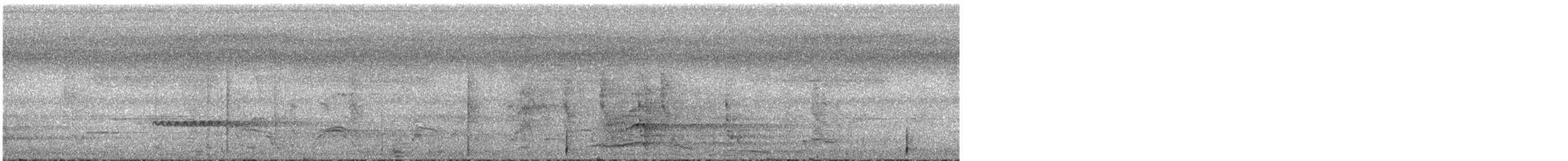 Cuco Varioloso - ML649198906