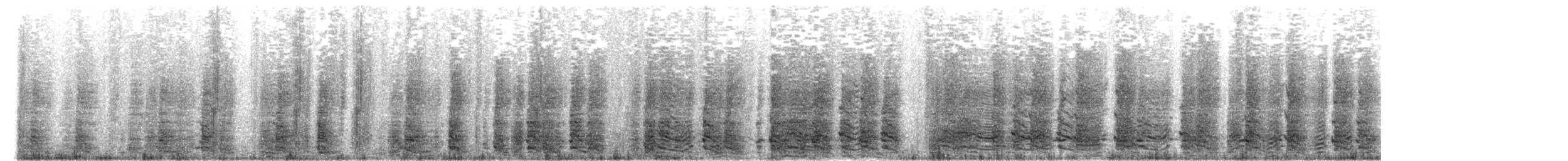 Pingüino Barbijo - ML649198915