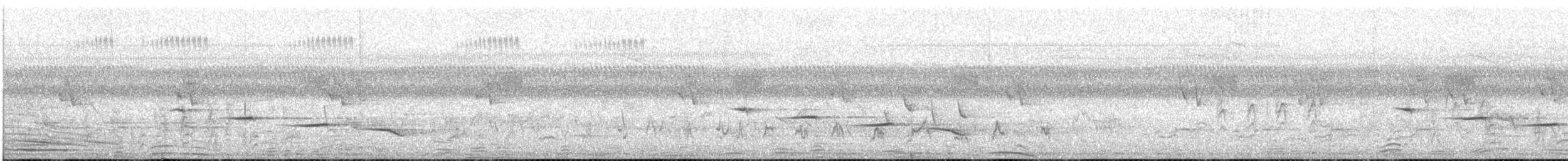 Batis Carunculado Gorjipardo - ML649198917