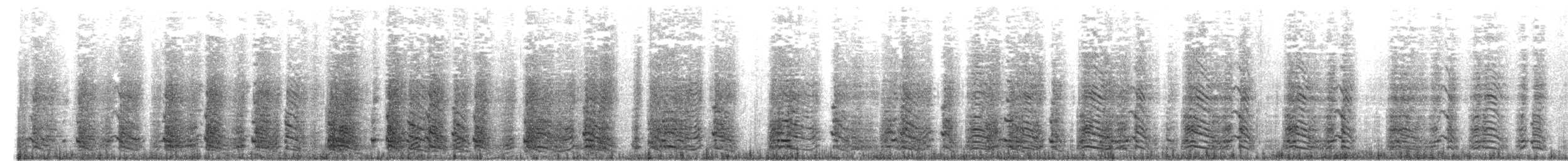 Pingüino Barbijo - ML649198993