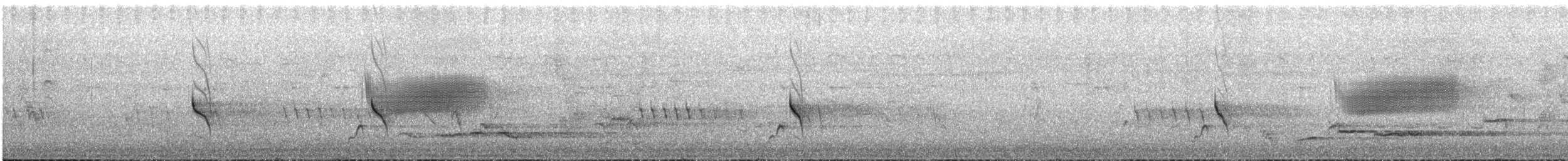 Yerbera Maorí - ML649199006