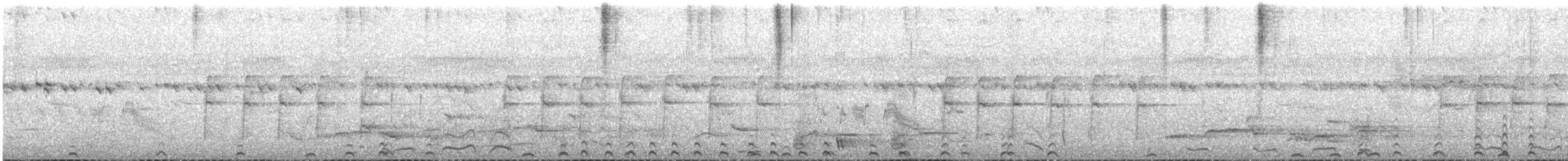 Colín de California - ML649199013