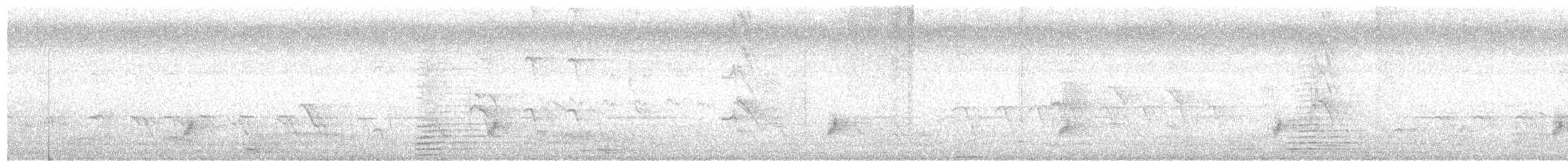 Rotsteißbülbül - ML649201626