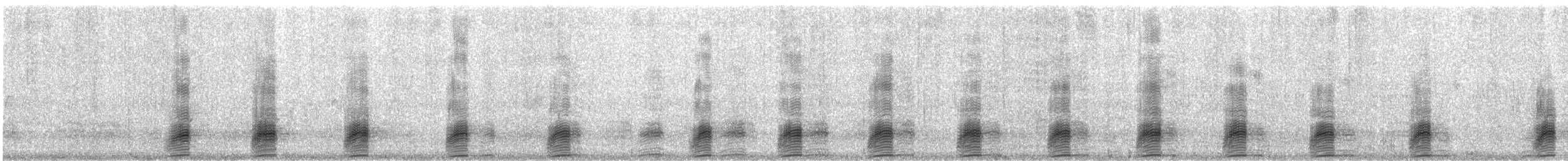 綠頭鴨 - ML649201665